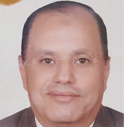 Abdelsalam Mohamed